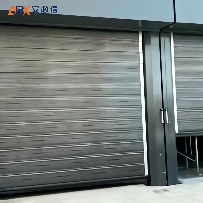 丽水市金属快速门